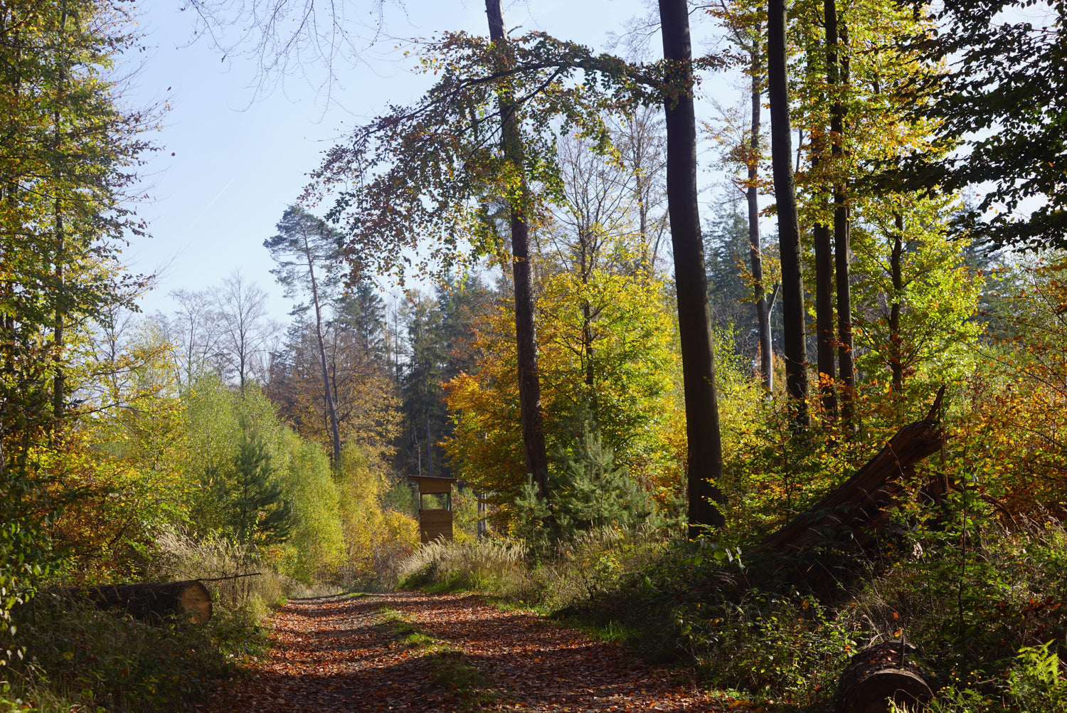 Must-Have Fall Camping Essentials: Embrace the Great Outdoors